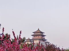 -莲花池公园