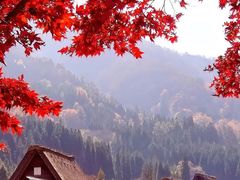 -白川乡与五箇山的合掌构造村落