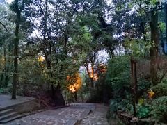 -岳麓山风景名胜区