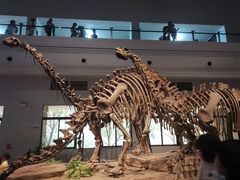 -自贡恐龙博物馆