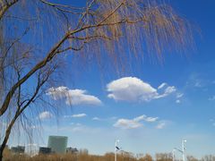 -大兴滨河森林公园