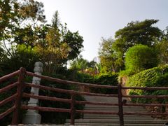 -仙岳公园