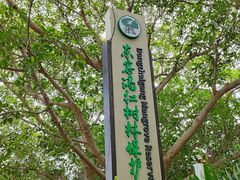 -东寨港红树林旅游区