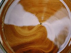 红豆沙拿铁-Line 咖啡(石厦花园店)