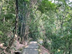 -凤栖山