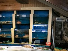 -鹰龙海畔度假酒店(咸祥店)
