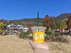 -塔川景区