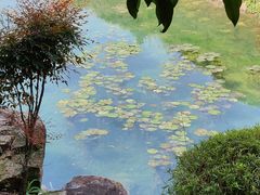-桃花岭景区