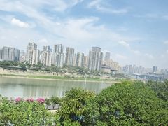 -李子坝梁山鸡(李子坝大鸡哥店)