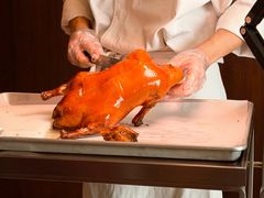 -秀儿四九城·新京菜(亚运村鸟巢店)