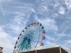 -巨鹏飞梦幻海岸