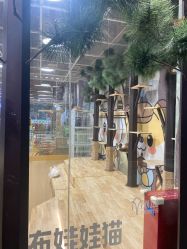 -小象动悟公园(龙湖亦庄天街店)