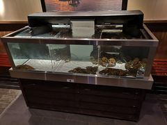 -RED LOBSTER(多伦多DT店)