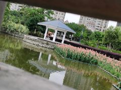 -龙江公园