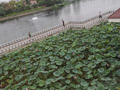 -箸福·夜上海(月牙湖公园店)