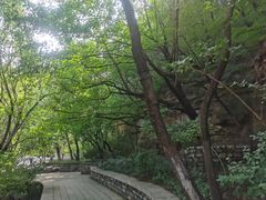 -佛慧山