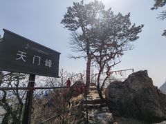 -大连天门山国家森林公园