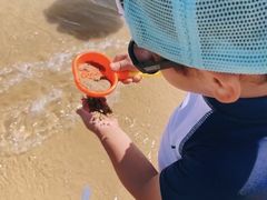 -碧海金沙
