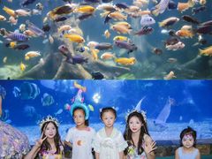 -南昌海洋公园