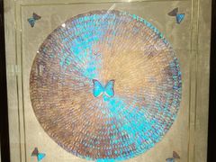 -上海昆虫博物馆