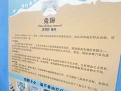 -青藏高原野生动物园