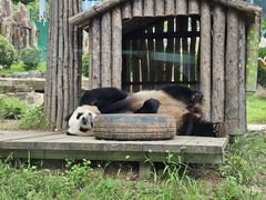 -大连森林动物园