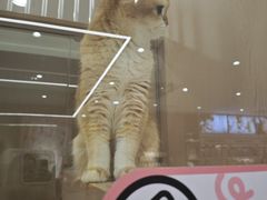 -永旺梦乐城(武汉金桥店)