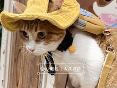 -瑞虹新天地月亮湾