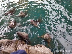 -华夏文旅海洋公园