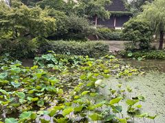 -惠山古镇·寄畅园