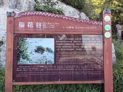 -大围山国家森林公园