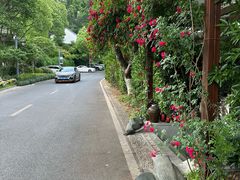 -古韵餐厅(湖畔大学店)