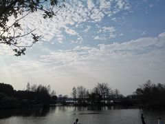 -海珠湖公园