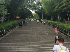 -上海佘山国家森林公园西佘山园