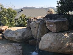 -天目湖涵田半山温泉