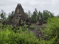 -峡谷浮石林景区