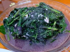 -全乐鱼馆·淳牌有机鱼直营店