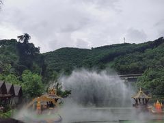 -西双版纳原始森林公园