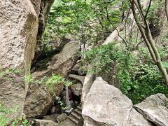 -秦岭终南山世界地质公园翠华山景区