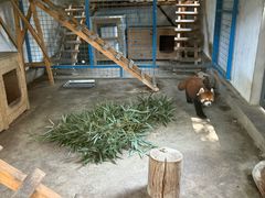 -苏州太湖西山岛开心农场