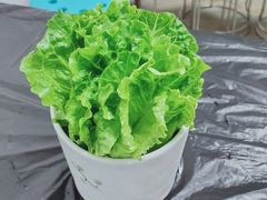 -额尔敦牛厨师铜板烧