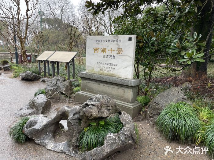西湖外事游船(花港观鱼码头)图片
