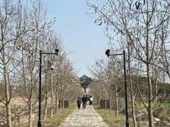 -广富林郊野公园
