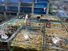 -尊立方海鲜酒店·生日宴·家宴
