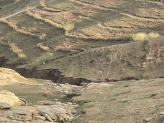 -呼市烧麦羊杂(幸福路店)