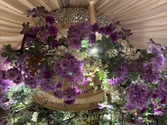 -叶叶菩提(太原别墅店)