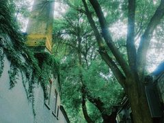 -巴巴新生活·四合院会议·疗愈团建.品牌活动