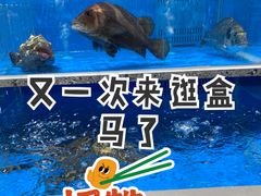 -盒马鲜生(富田新天地店)