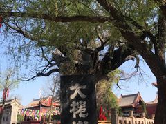 -大槐树寻根祭祖园
