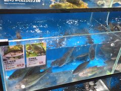 水产区-盒马鲜生(曜一城店)